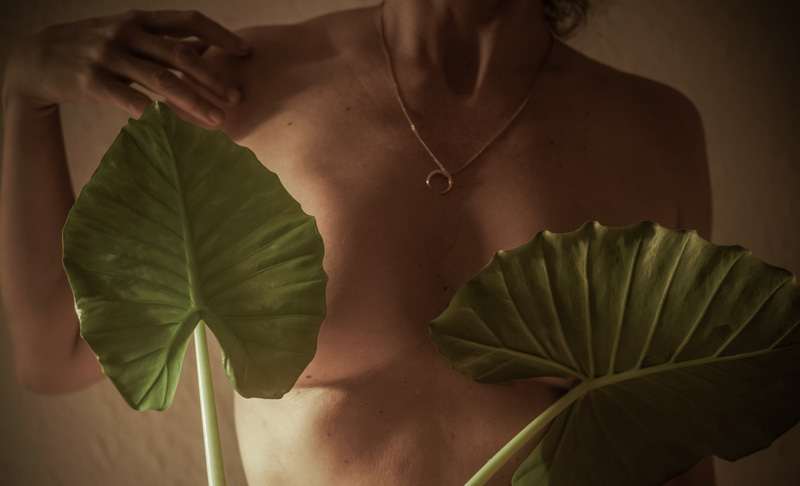 meme rekonstrüksiyonu